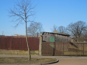 DSCN3001
